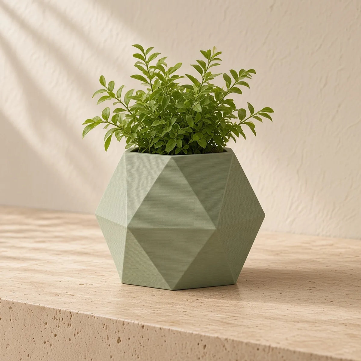 Facet Planter, a FLOOP studio object design render
